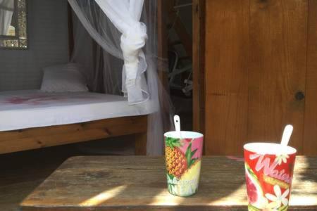 Aux Iles D'Amour Terre-De-Haut Room photo